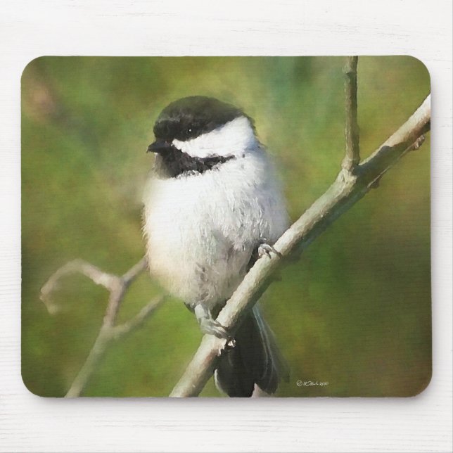 Black Capped Chickadee Mouse Pad (Front)