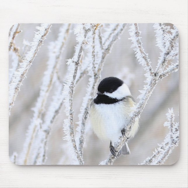 black capped chickadee mousepad (Front)