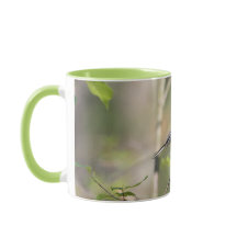 Black Capped Chickadee on a Branch