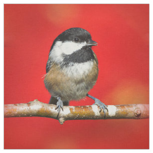 Black-Capped Chickadee on Autumn Red Background Fabric