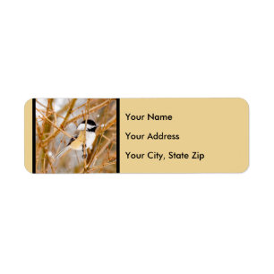Black-Capped Chickadee - Original Photograph