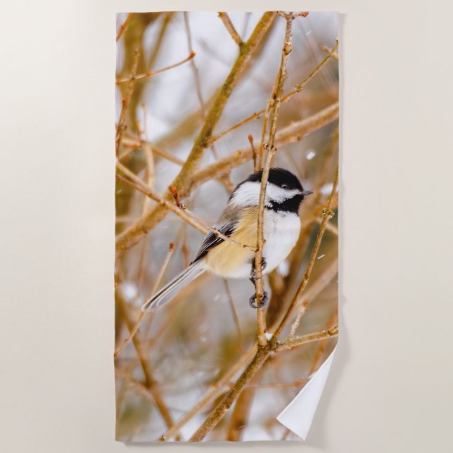 Black-Capped Chickadee - Original Photograph Beach Towel (Front)