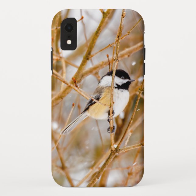 Black-Capped Chickadee - Original Photograph Case-Mate iPhone Case (Back)