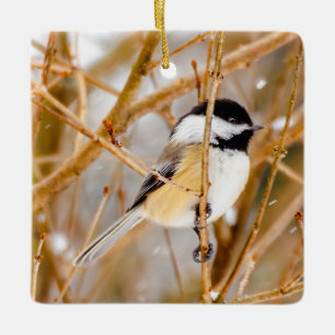 Black-Capped Chickadee - Original Photograph Ceramic Ornament