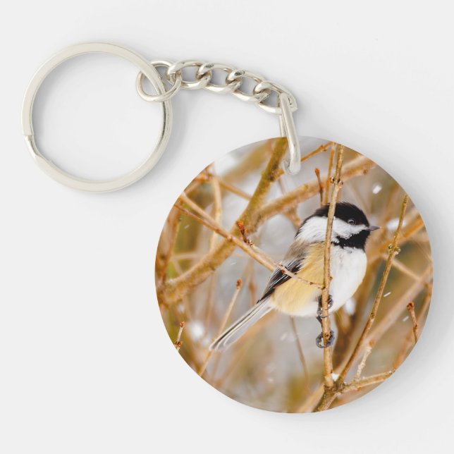 Black-Capped Chickadee - Original Photograph Keychain (Front)