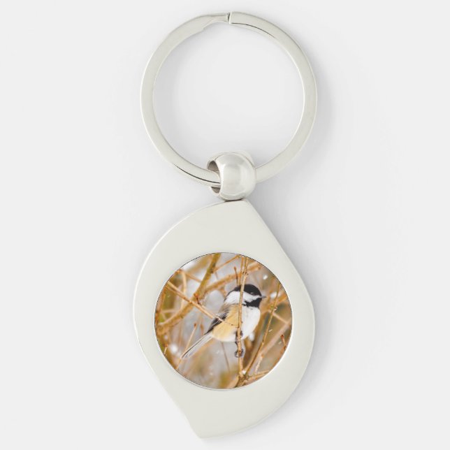 Black-Capped Chickadee - Original Photograph Keychain (Front)
