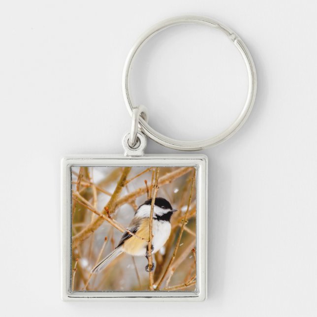 Black-Capped Chickadee - Original Photograph Keychain (Front)