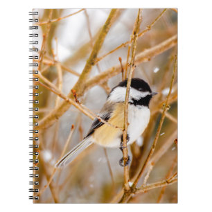 Black-Capped Chickadee - Original Photograph Notebook