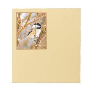 Black-Capped Chickadee - Original Photograph Notepad