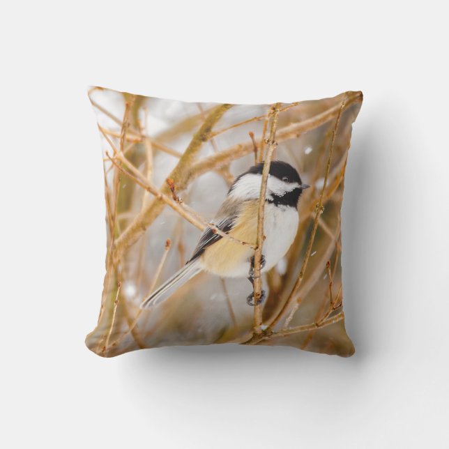 Black-Capped Chickadee - Original Photograph Outdoor Pillow (Front)