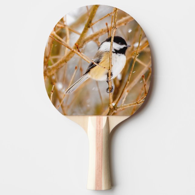 Black-Capped Chickadee - Original Photograph Ping Pong Paddle (Front)