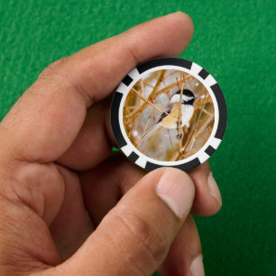 Black-Capped Chickadee - Original Photograph Poker Chips