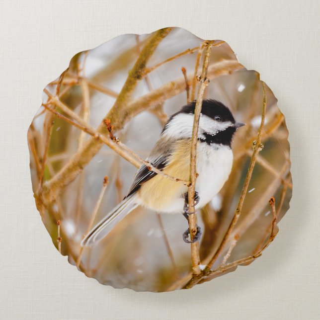 Black-Capped Chickadee - Original Photograph Round Pillow (Back)