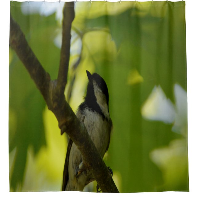 BLACK-CAPPED CHICKADEE SHOWER CURTAIN (Front)