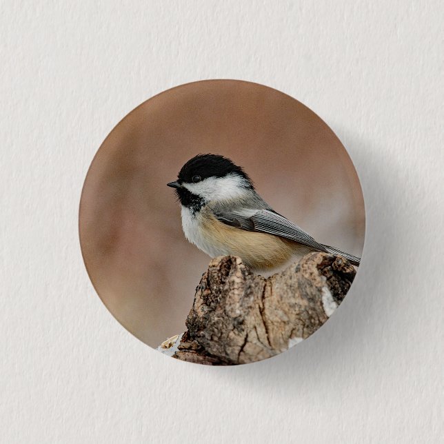 Black Capped Chickadee Snow Photo 1 Inch Round Button (Front)