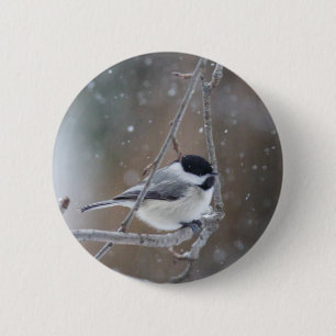 Black-capped Chickadee - Songbird 2 Inch Round Button