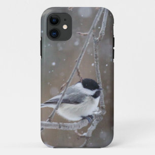 Black-capped Chickadee - Songbird iPhone 11 Case