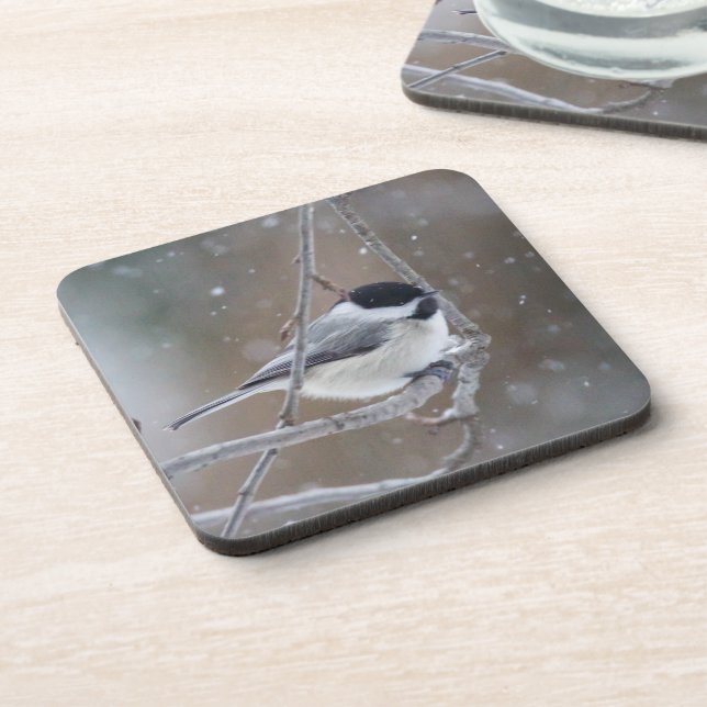 Black-capped Chickadee - Songbird Coaster (Left Side)