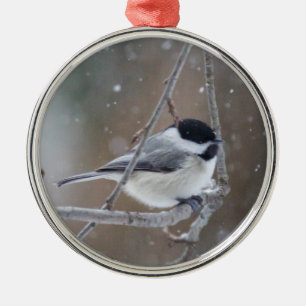 Black-capped Chickadee - Songbird Metal Ornament