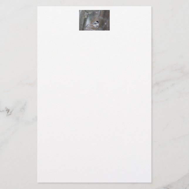 Black-capped Chickadee - Songbird Stationery (Front)