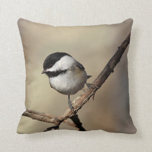 Black-capped chickadee throw pillow