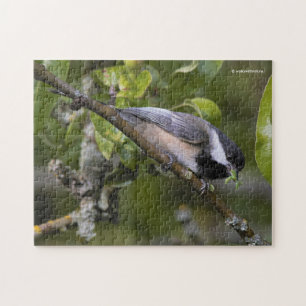 Black-Capped Chickadee with Mouthful of Worms Jigsaw Puzzle