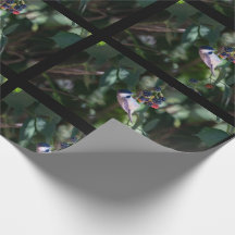 Black-capped Chickadee Wrapping Paper Roll