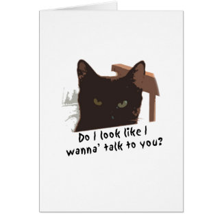black cat