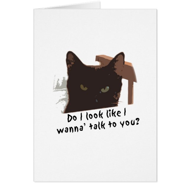 black cat (Front)