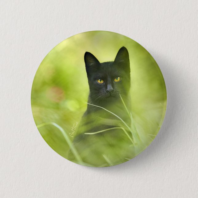 Black Cat 2 Inch Round Button (Front)