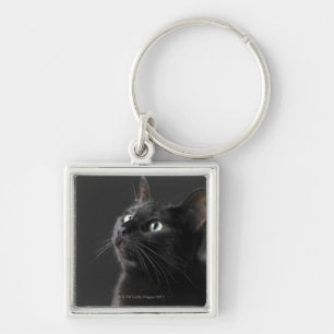Black cat against black background, close-up keychain