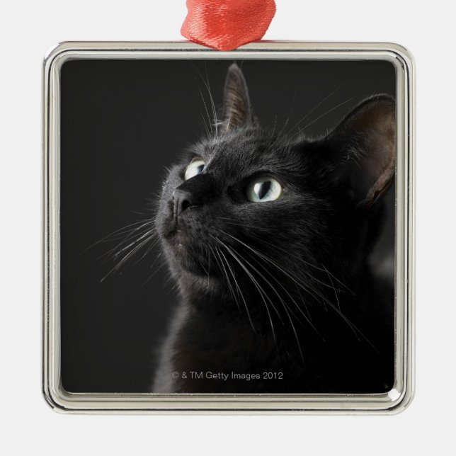 Black cat against black background, close-up metal ornament (Front)
