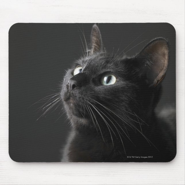 Black cat against black background, close-up mouse pad (Front)