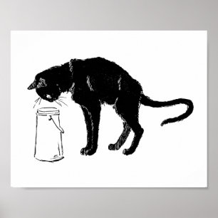 Black Cat, Alexandre Steinlen Poster