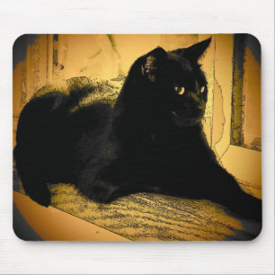 Black Cat and Orange Mouse Pad