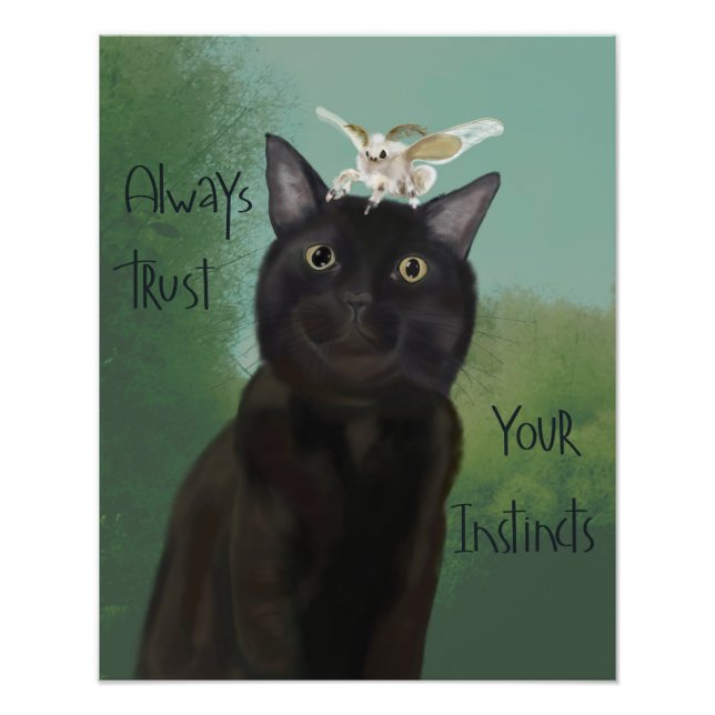 Black Cat and Silk Moth Photo Print (Front)