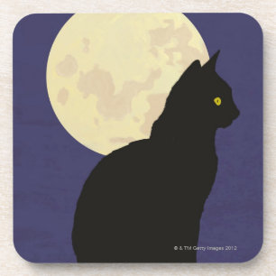 Black Cat and the Moon Coaster
