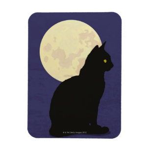 Black Cat and the Moon Magnet