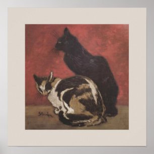 Black Cat and Tortoiseshell Poster