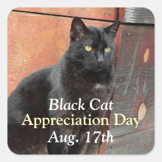 Black Cat Appreciation Stickers