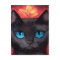 Black Cat Art  & Butterfly - Multi