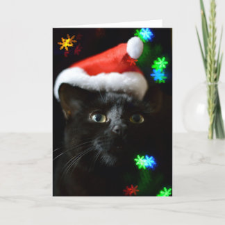 Black Cat at Christmas Time Holiday Card