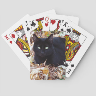 Black Cat Autumn Photo Classic Playing Cards