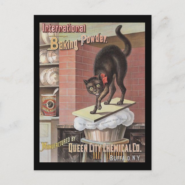 Black Cat Baking Soda Buffalo New York Postcard (Front)