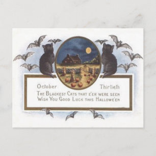Black Cat Bat Farm Pumpkin Haystack Full Moon Postcard