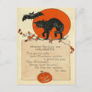 Black Cat Bat Full Moon Postcard