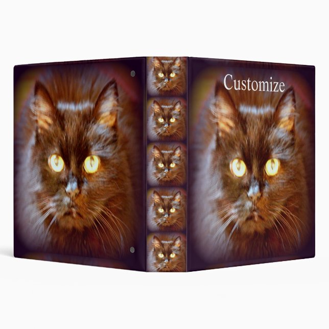 black cat binder (Background)