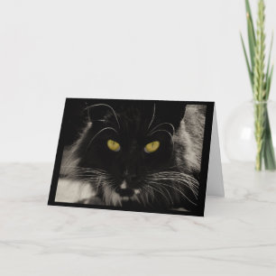 Black Cat Birthday Card, 70 Customise Age Wishes Card