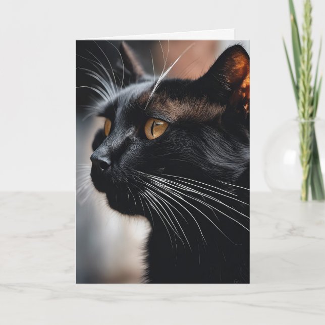 Black Cat Birthday Humour Card (Front)