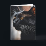 Black Cat Birthday Humour Card<br><div class="desc">Close-up of a black cat with white whiskers portrait.
All text is editable.</div>